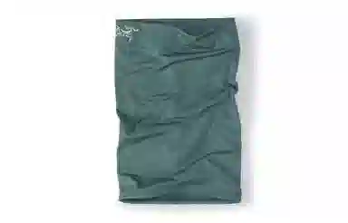 Arcteryx Logo Scarf Green