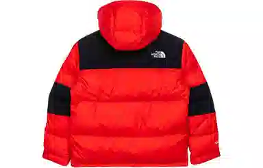 THE NORTH FACE Logo