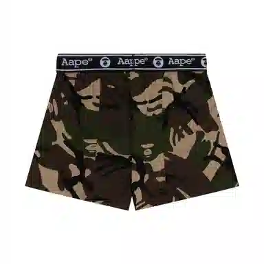 Aape 1