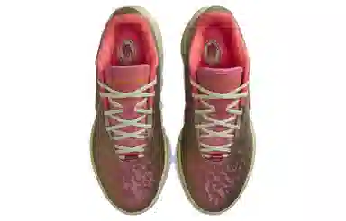Nike Lebron 21 Queen Conch