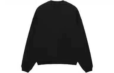 Stussy Big Crackle Sport Crew