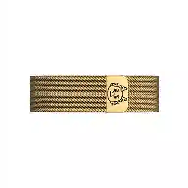 CHENSONG GT4watch3pro4pro