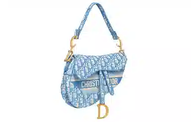 Dior Saddle Cornflower Blue