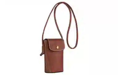 Longchamp Épure 9 Brown