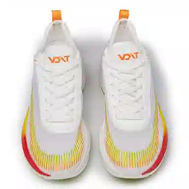 VOIT DAN