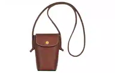 Longchamp Épure 9 Brown