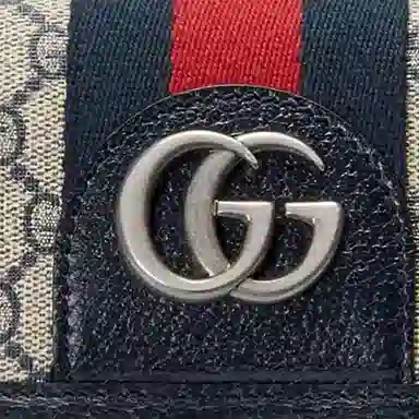 Gucci Ophidia Bag