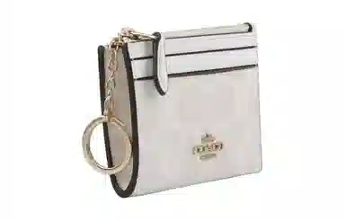 COACH Mini Id Skinny 11 PVC