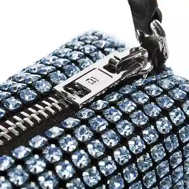 alexander wang heiress