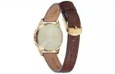 CITIZEN 29mm EC1183-16A