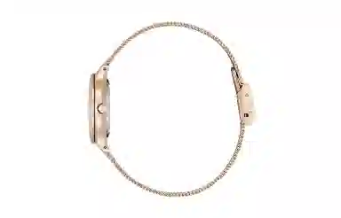 CITIZEN 28mm EW2635-54W