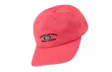 Supreme SS24 WEEK 1 NEW YORK ARC 6-PANEL