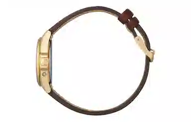 CITIZEN 29mm EC1183-16A