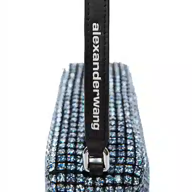 alexander wang heiress