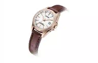 CITIZEN 29mm EC1183-16A