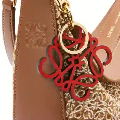 LOEWE LunaAnagram