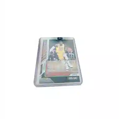 PANINI 20-21 INSTANT