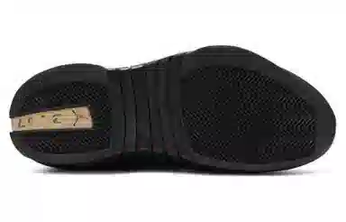Jordan Air Jordan 15 Retro Laser