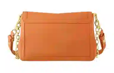 LOUIS VUITTON Dauphine Soft MM