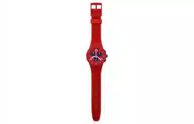 SWATCHSwatch Essentials 30 42mm