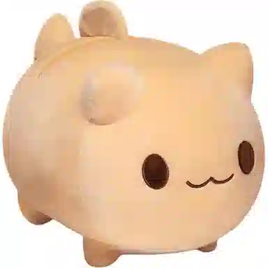 25CM30CM