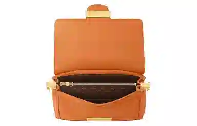 LOUIS VUITTON Dauphine Soft MM