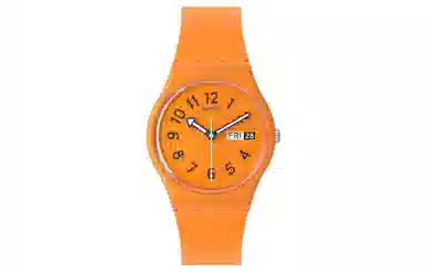 SWATCHSwatch Essentials 30 34mm