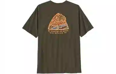 patagonia T