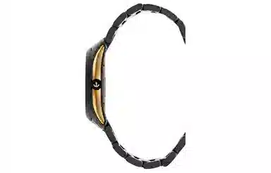 RADO 100 42mm R32023152