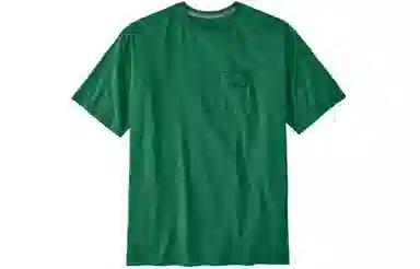 patagonia T