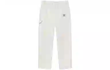 Stussy Work Pant Canvas Baja Print