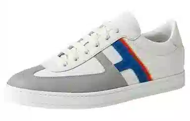 HERMES Boomerang
