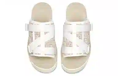 DIOR Alpha