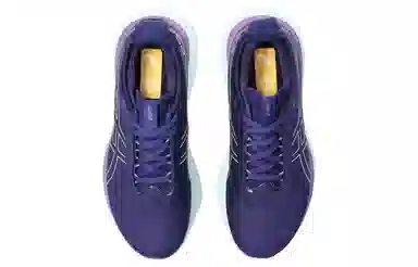 Asics GEL-Nimbus 25