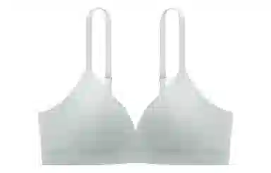 Bananain 311Standard