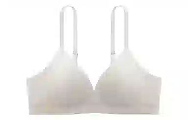 Bananain 311Standard