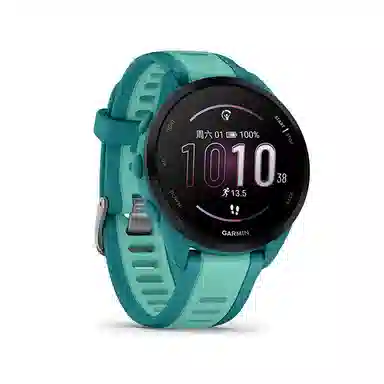 GARMIN app FR165 010-02863-73