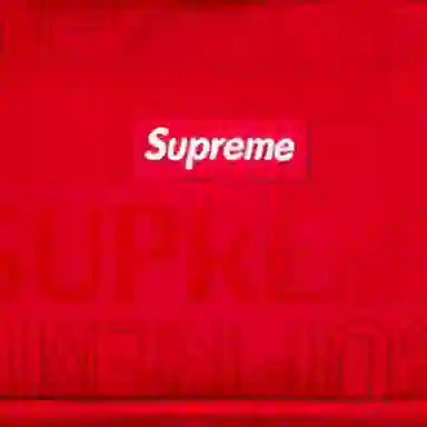 Supreme SS19 Organizer Pouch Red