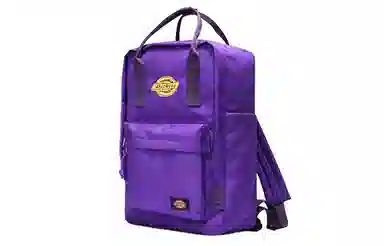 Dickies Casual Backpack Purple
