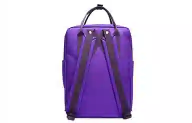 Dickies Casual Backpack Purple