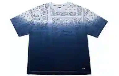 Dickies SS22 T