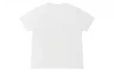 Dickies SS22 T