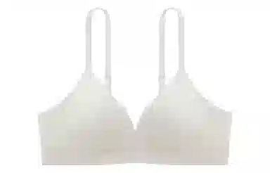 Bananain 311Standard