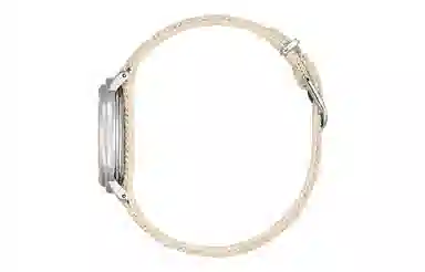 CITIZEN 50 34mm EM1006-40A