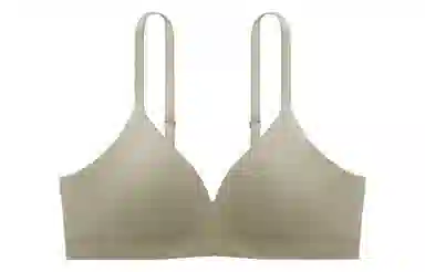 Bananain 311Standard