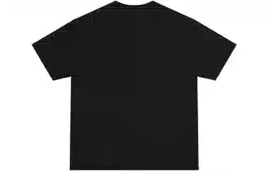 Dickies SS22 T