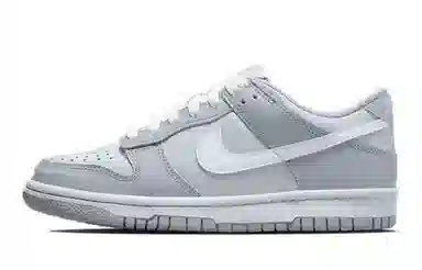Nike Dunk Low 811