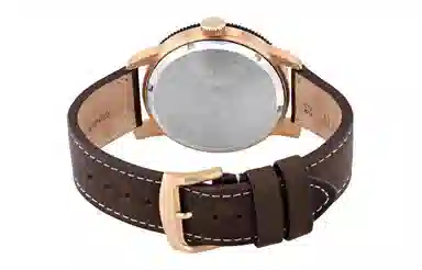 CITIZEN 44mm AW0079-13X