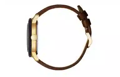 CITIZEN 44mm AW0079-13X