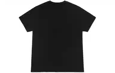 Dickies SS22 logoT